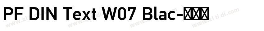 PF DIN Text W07 Blac字体转换